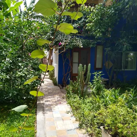 Nido, Los Colibries VI Tigre Exterior photo