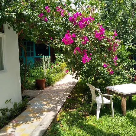 Nido, Los Colibries VI Tigre Exterior photo